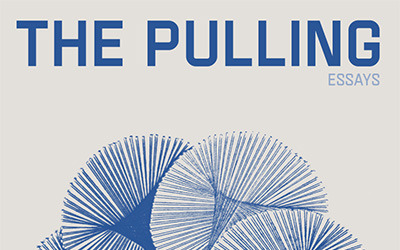 Anwen Crawford reviews ‘The Pulling: Essays’ by Adele Dumont